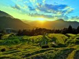 秋の千枚田