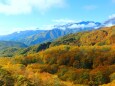 秋の栂池高原