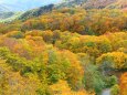 秋の栂池高原