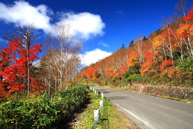 秋の磐梯吾妻スカイライン