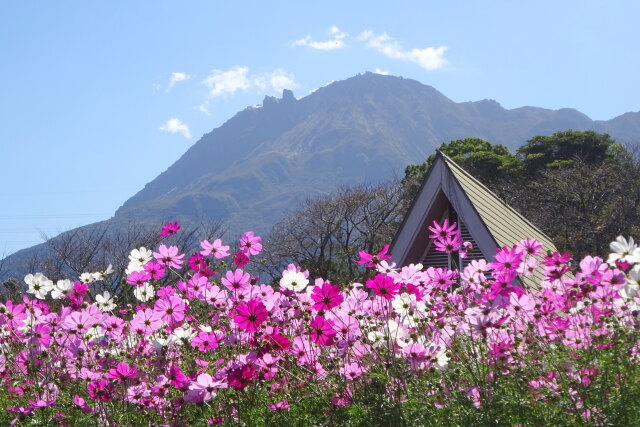 見上げる雲仙岳