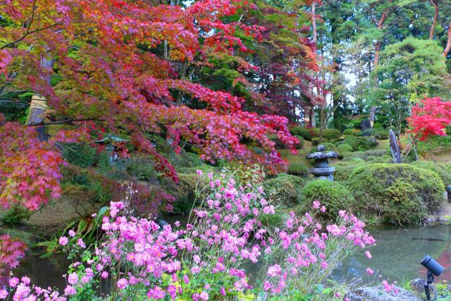 秋の日光輪王寺庭園