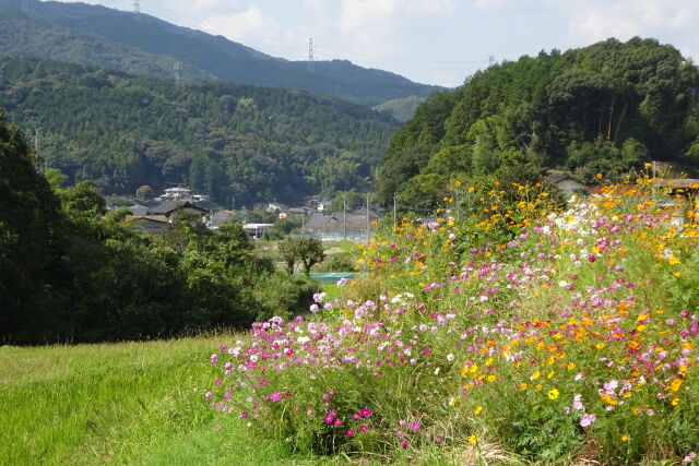 秋の日差しの静かな山間部