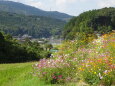 秋の日差しの静かな山間部