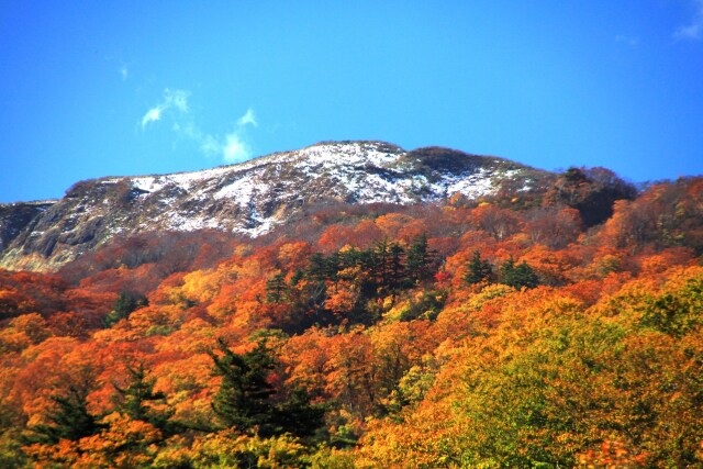 雪山と紅葉