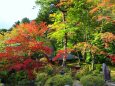 秋の日光山輪王寺庭園