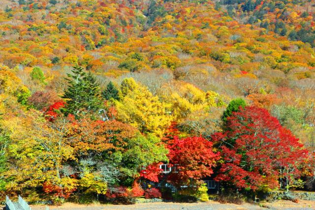 中禅寺湖紅葉