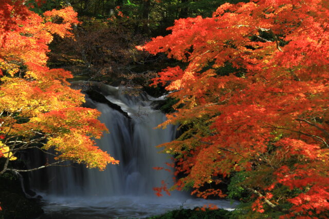 鐘山の滝の紅葉