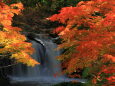 鐘山の滝の紅葉