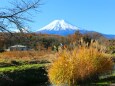 秋の忍野八海