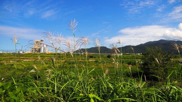 秋の富山の風景