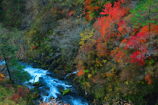 華厳の滝紅葉
