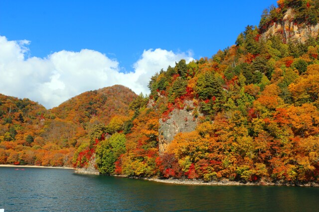 中禅寺湖紅葉