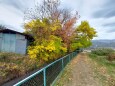 波田の波田駅への近道