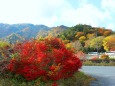 日光紅葉