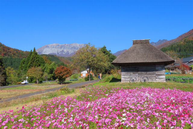 秋 大山 15 茅葺き小屋