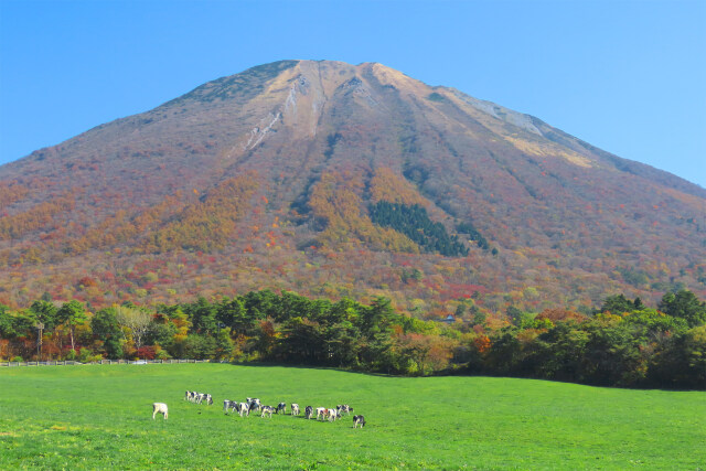 秋 大山 16 牧場