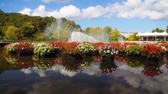 秋の越後丘陵公園