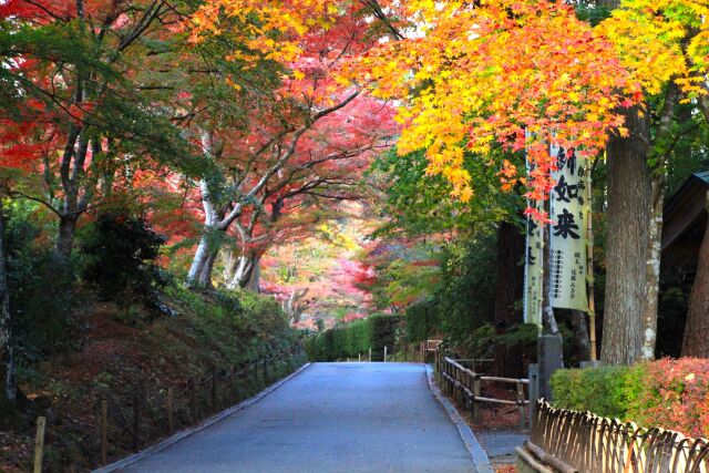 秋の中尊寺