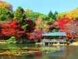 東山動植物園紅葉