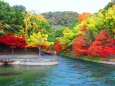 宇治川紅葉