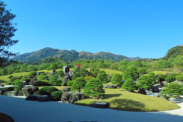 足立美術館庭園 初冬