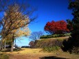 山形縣護國神社裏の公園