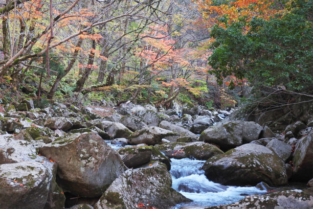 晩秋 渓谷 3