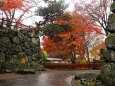 小諸城址公園の紅葉