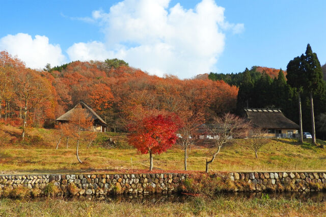 晩秋 山里 3