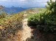 雷鳥坂を行く