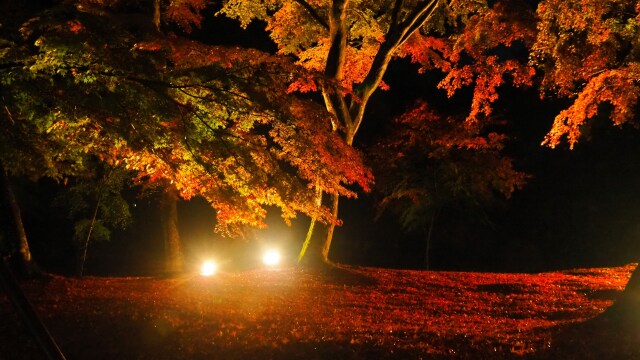 秋の夜の小諸城址公園