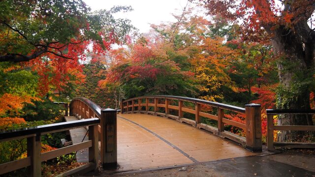 小諸城址公園の紅葉