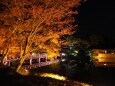 秋の夜の昭和記念公園