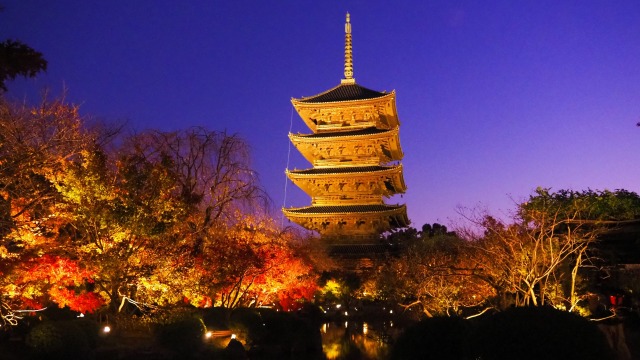 秋の夜の東寺