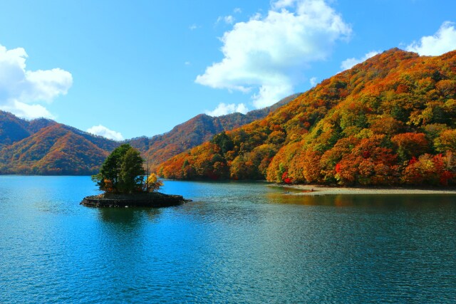 中禅寺湖紅葉
