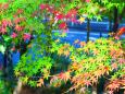 東山動植物園紅葉