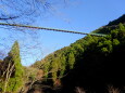 見上げる杣の大吊り橋