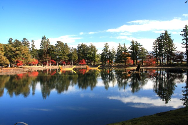 秋の毛越寺