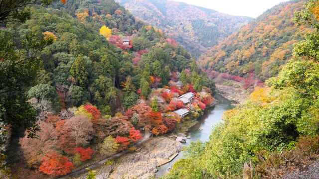 嵐山の紅葉
