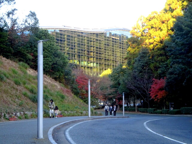 九州国立博物館への道