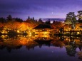 秋の夜の昭和記念公園