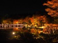 秋の夜の昭和記念公園