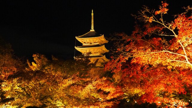 秋の夜の東寺