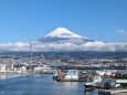 田子の浦港と富士山