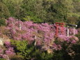 鞍ケ池にて