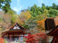 迎春談山神社