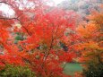 嵐山の紅葉