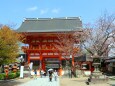 迎春八坂神社