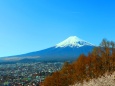 迎春富士山